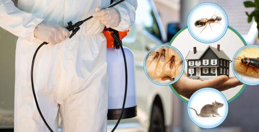 Eyüp Böcek İlaçlama