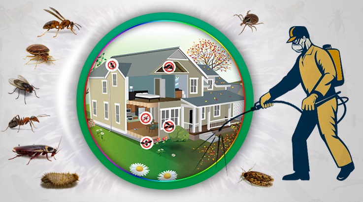 Eyüp Böcek İlaçlama