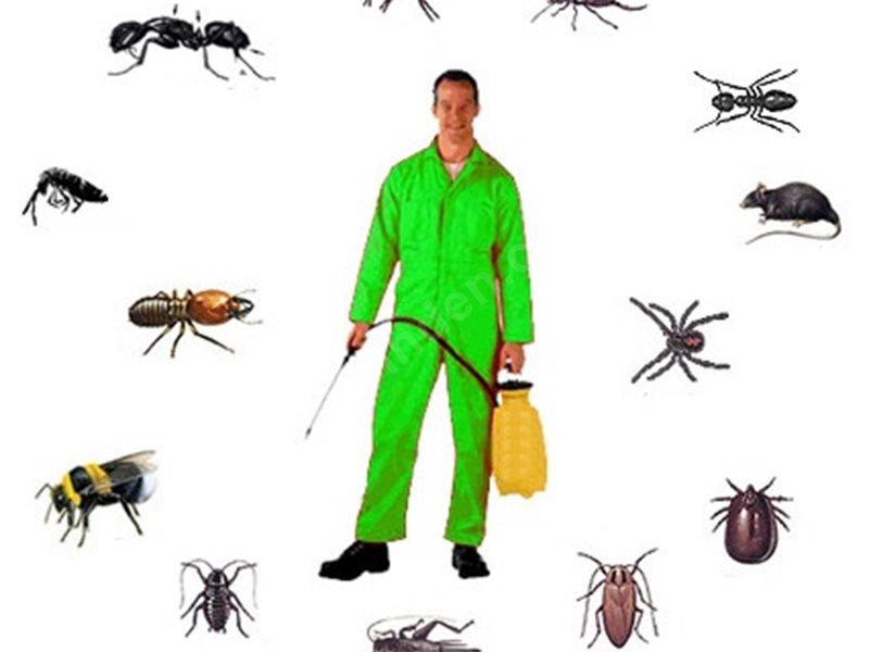 Eyüp Böcek İlaçlama